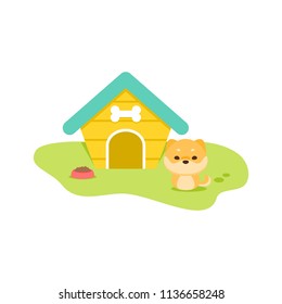 Dog and a House