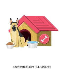 dog house design