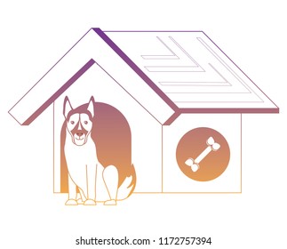 dog house design