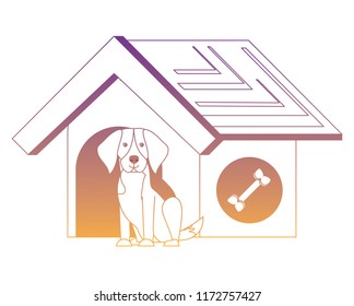 dog house design