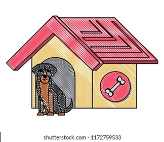 dog house design
