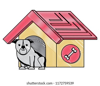 dog house design