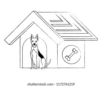 dog house design