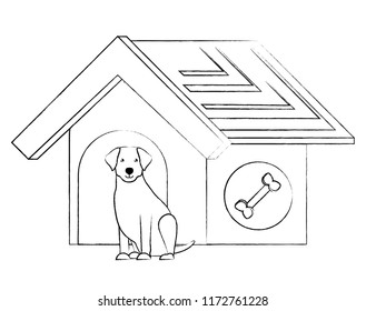 dog house design