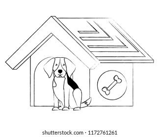 dog house design