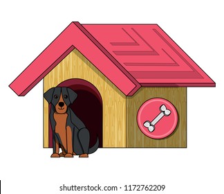 dog house design