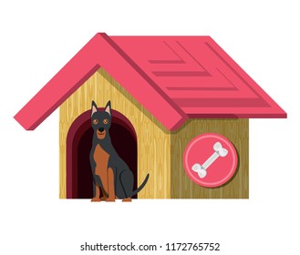 dog house design