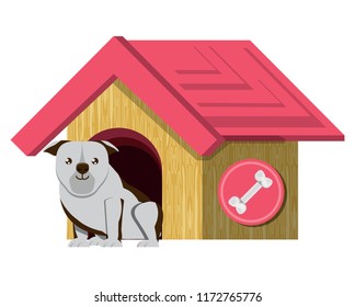 dog house design