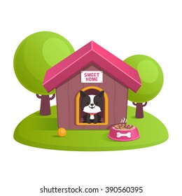 Dog, house, dog food, bone, plate