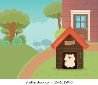 dog in the house garden tree path pet care vector illustration