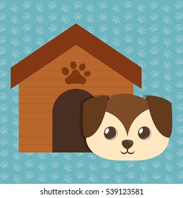 dog house pet related icon image vector illustration design 