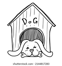 Dog in dog house vector illustration on white background