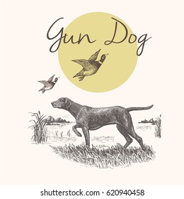 Dog. Hunting. Gun dog isolated vector engraved illustration with landscape background 