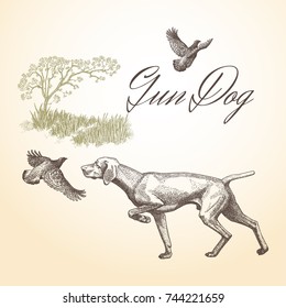 Dog. Hunting. Gun dog isolated vector engraved illustration with landscape background