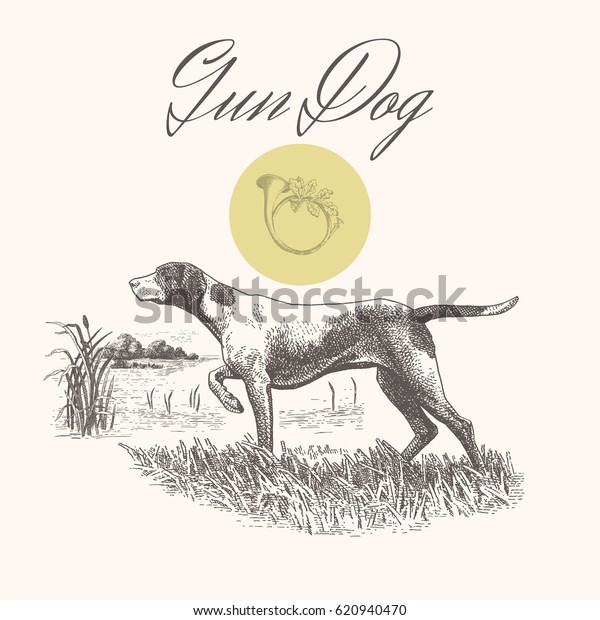 犬 狩り 横向きの背景にガンドッグのベクター画像彫刻イラスト のベクター画像素材 ロイヤリティフリー