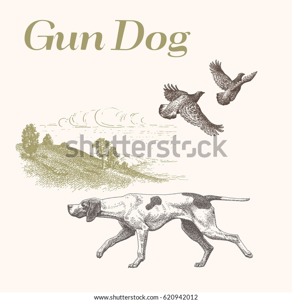 犬 狩り 横向きの背景にガンドッグのベクター画像彫刻イラスト のベクター画像素材 ロイヤリティフリー 620942012