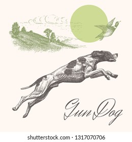 Dog. Hunting. Vector Engraving Illustration Of Gun Dog With Landscape Background