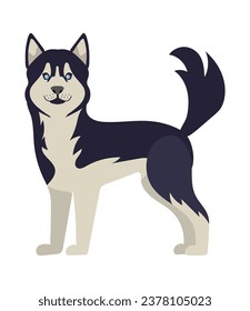 dog husky illustration vector isolated