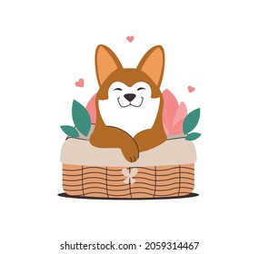 The dog Husky in a wicker basket. The cartoon puppy in love is good for spring design, thank you cards, pet day, sticker, flower shop, holidays. The vector illustration