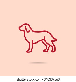 dog icon