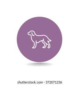 dog icon