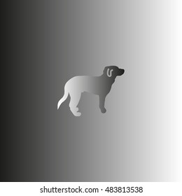 dog icon