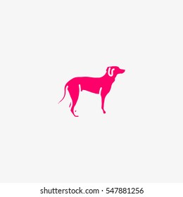 dog icon