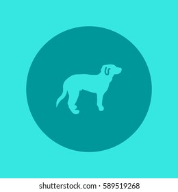 dog icon