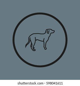 dog icon