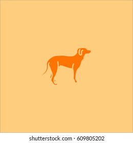 dog icon