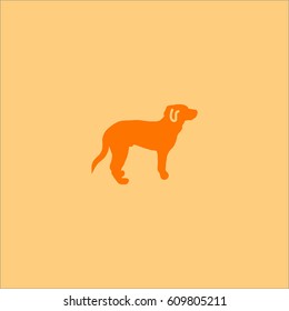 dog icon
