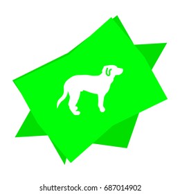 dog icon
