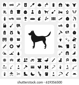 dog icon. agriculture set. vector sign symbol on white background