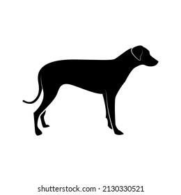 Dog icon. animal sign. vector illustration