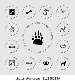 Dog icon. collection of 13 dog filled and outline icons such as animal paw, x ray, paw, hair brush, wolf, broken leg or arm, bone. editable dog icons for web and mobile.