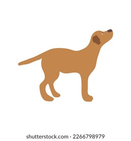 Dog icon in flat color style. Pet animal vector illustration on white isolated background