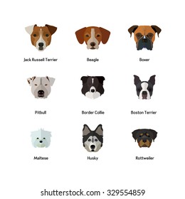 Dog Icon In Flat Style ( Rottweiler, Husky, Maltese, Boston Terrier, Border Collie, Pitbull, Boxer, Beagle, Jack Russell Terrier, )