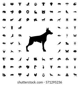 dog icon illustration isolated vector sign symbol