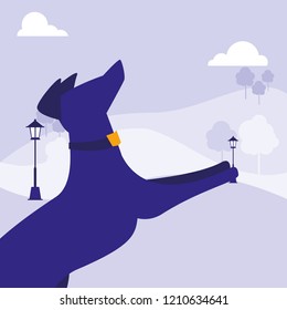 dog icon image
