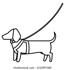 dog icon image