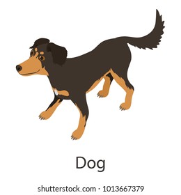 Dog icon. Isometric illustration of dog vector icon for web