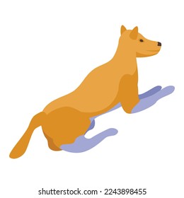 Dog icon isometric vector. Wild animal. Nature predator