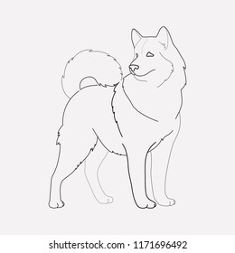 Dog icon line element. Vector illustration of dog icon line isolated on clean background for your web mobile app logo design.