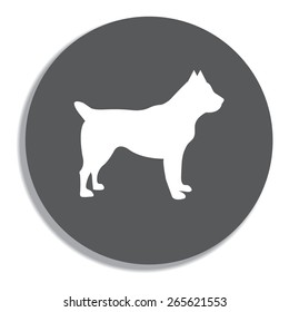dog icon on a grey background
