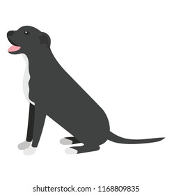
Dog icon rottweiler
