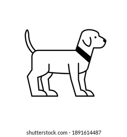 Dog icon set collection. Vector silhouette of dog.