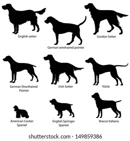 Spaniel Silhouette Images Stock Photos Vectors Shutterstock