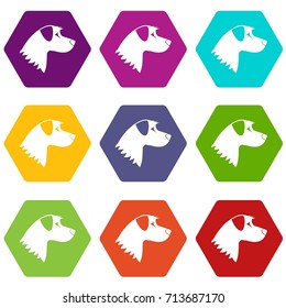 Dog icon set many color hexahedron isolated on white vector illustration