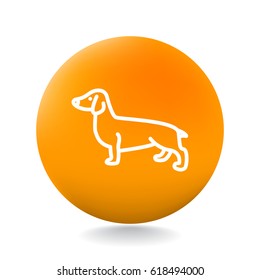  Dog Icon Vector.