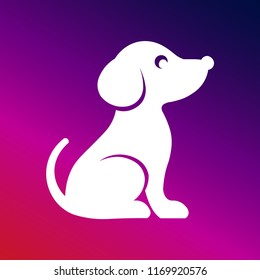 Dog icon vector illustrator creative design purple and pink gradient background